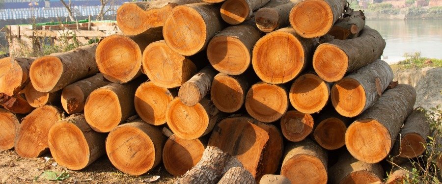 Beneficios de la madera teca